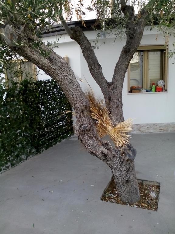 Holiday home Marechiaro Foce Varano